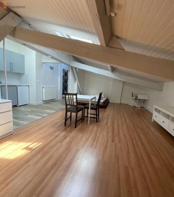Studio meublé 31m² Bordeaux 33300 - 2e étage, lumineux - Photo 5