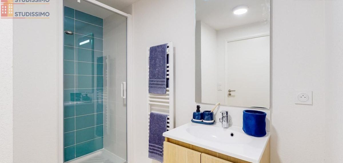 Studio meublé 17m² Villenave-d'Ornon - Meublé, DPE B - Photo 1