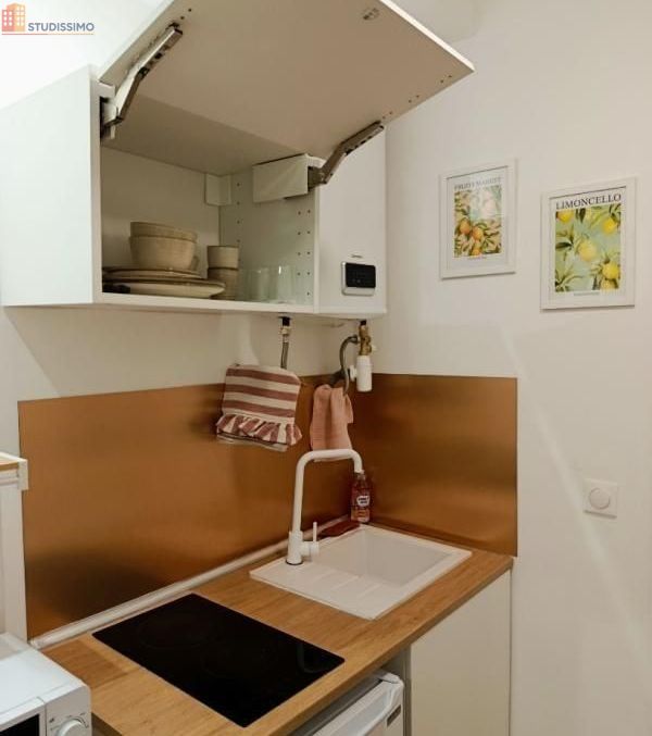 Studio meublé 14m² Montpellier centre - Lumineux - Photo 3