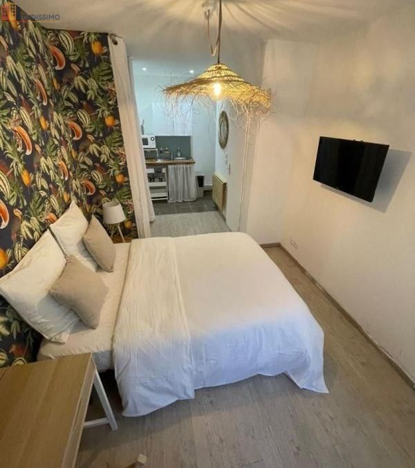 Studio meublé 18m² Montpellier centre - Meublé, DPE D - Photo 4