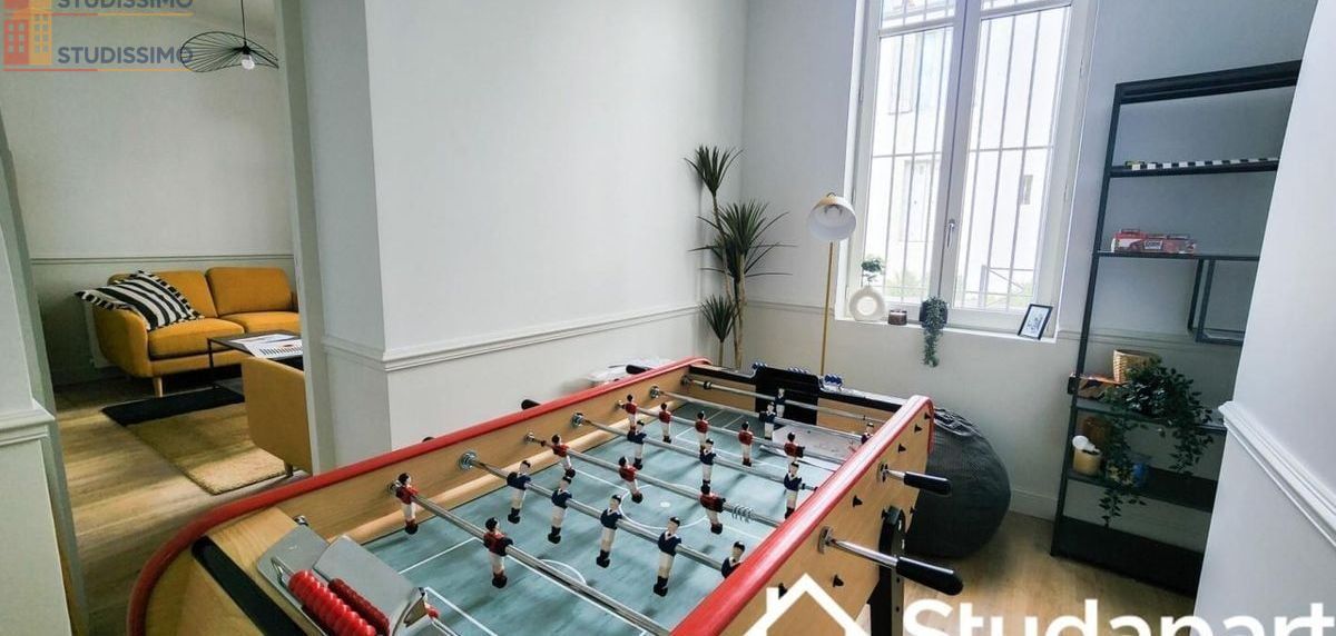 Studio meublé 14m² Bordeaux 33800 - Calme, lumineux - Photo 3