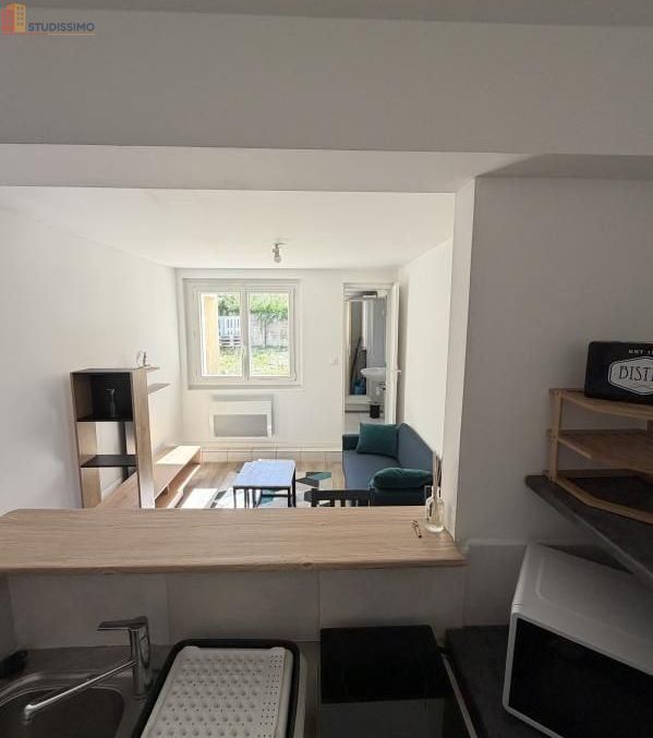 Studio meublé 25m² Rennes centre - Lumineux - Photo 13