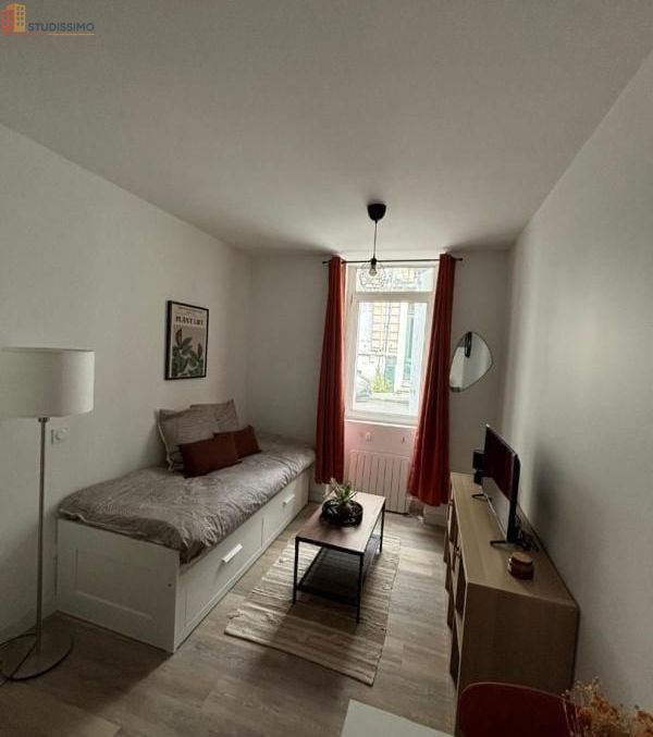 Studio meublé 24m² Bordeaux 33800 - Lumineux - Photo 11