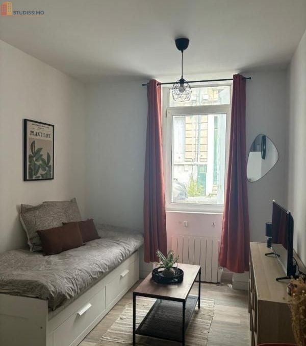 Studio meublé 24m² Bordeaux 33800 - Lumineux - Photo 14