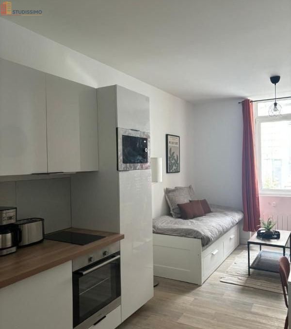 Studio meublé 24m² Bordeaux 33800 - Lumineux - Photo 1