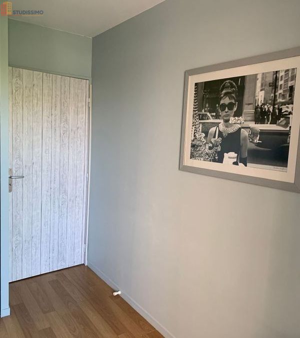 Studio meublé 42m² Bruz - Meublé, DPE C - Photo 11