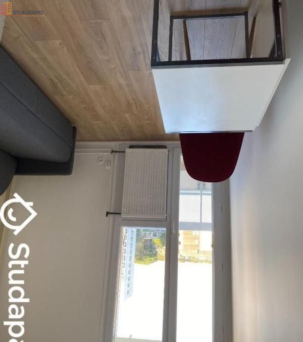 Studio meublé 15m² Gradignan - Meublé, DPE C - Photo 10