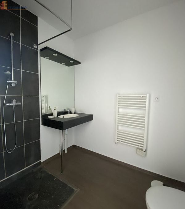 Studio meublé 20m² Talence - Dernier étage, lumineux - Photo 4