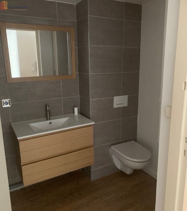 Studio meublé 25m² Bordeaux centre - Rénové, proche CHU - Photo 2