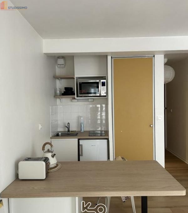Studio meublé 25m² Rennes centre - Meublé, DPE D - Photo 11