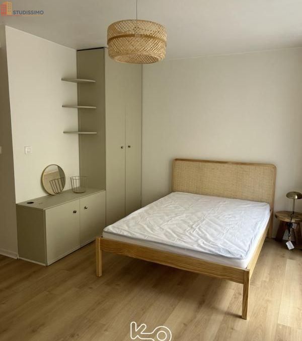 Studio meublé 25m² Rennes centre - Meublé, DPE D - Photo 5