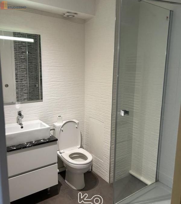 Studio meublé 25m² Rennes centre - Meublé, DPE D - Photo 2