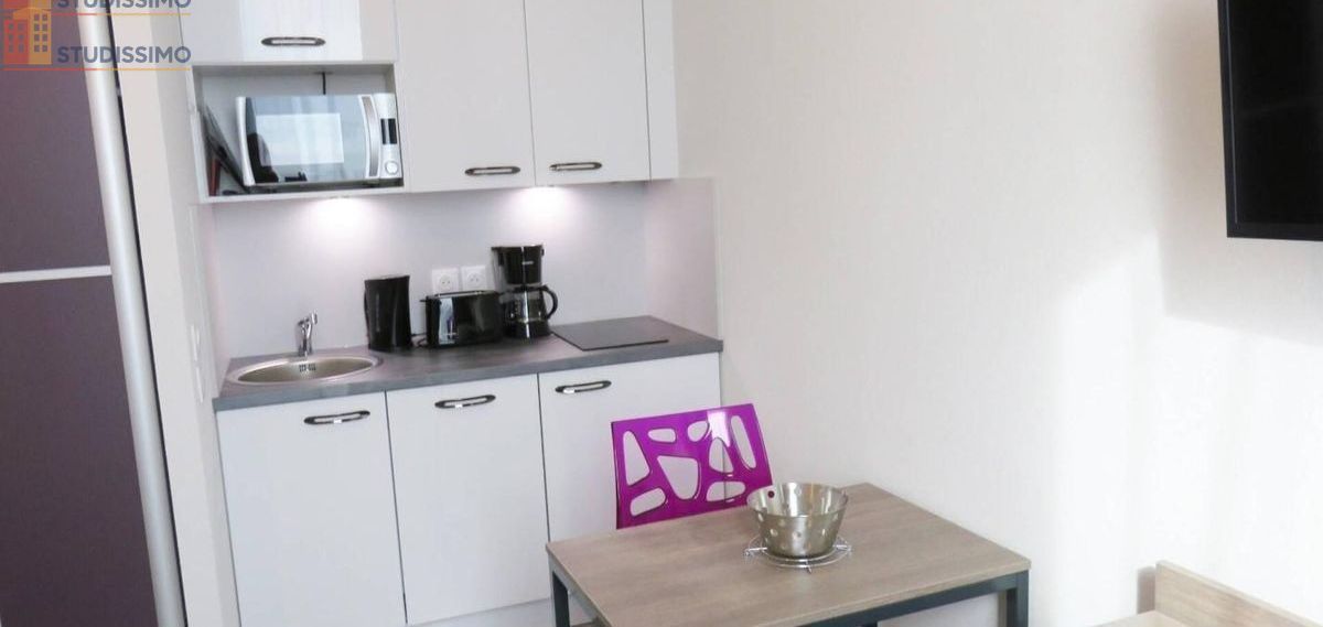 Studio meublé 23m² Bordeaux 33300 - Meublé, 1 pièce - Photo 4