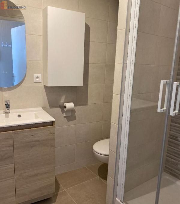 Studio meublé 16m² Rennes centre - Meublé, DPE D - Photo 5
