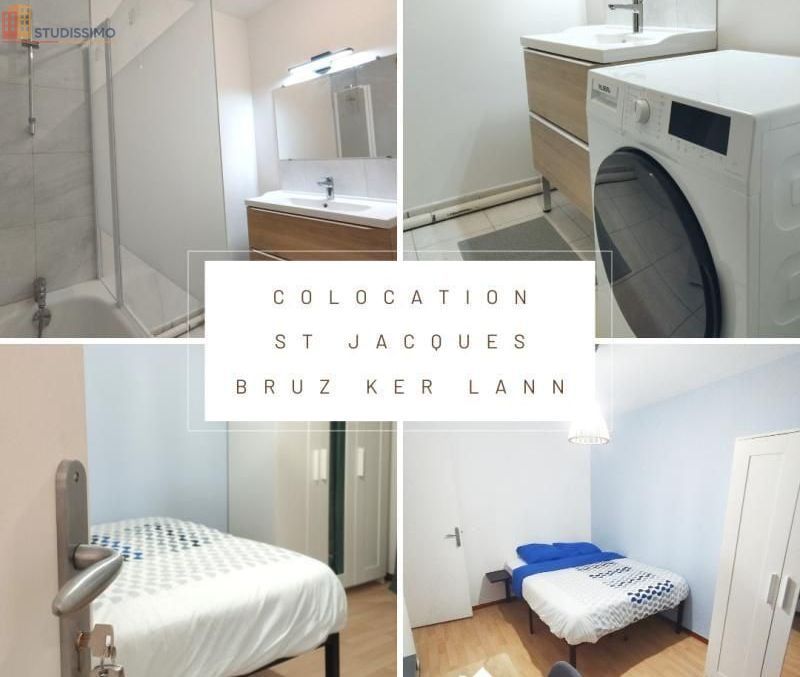 Studio meublé 11m² Saint-Jacques-de-la-Lande - Meublé - Photo 4