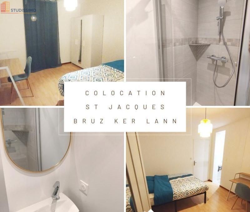 Studio meublé 11m² Saint-Jacques-de-la-Lande - Meublé - Photo 3