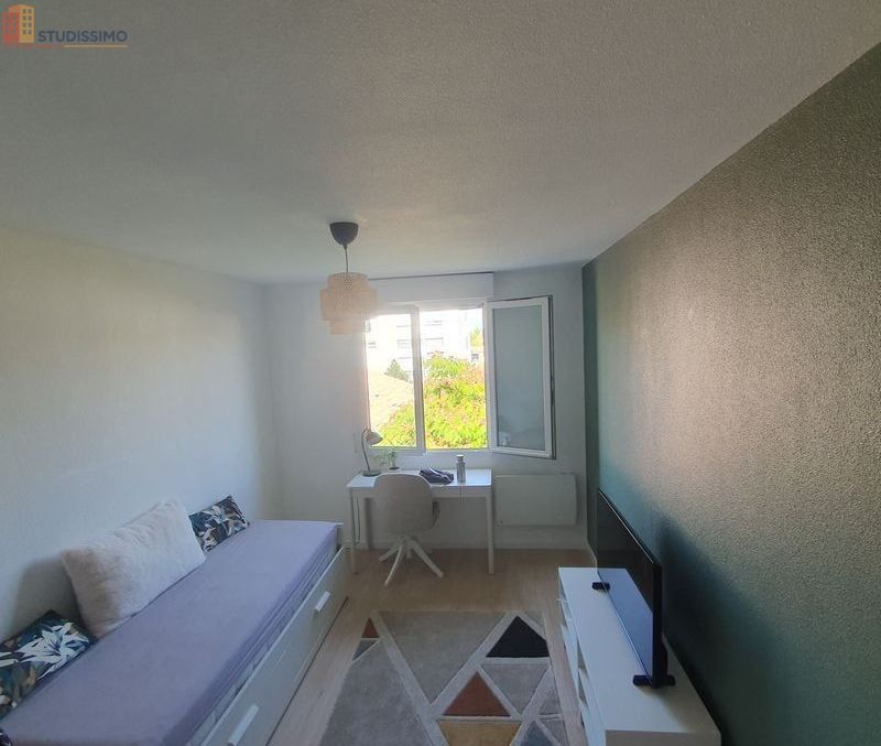 Studio meublé 20m² Bordeaux Gavinies - Meublé, parking - Photo 6