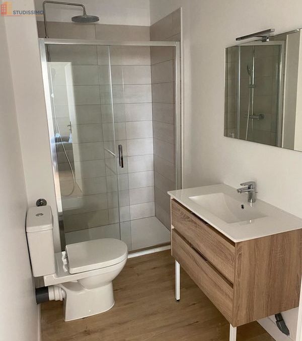 Studio meublé 20m² Sainte-Foy-la-Grande - Meublé, DPE D - Photo 3