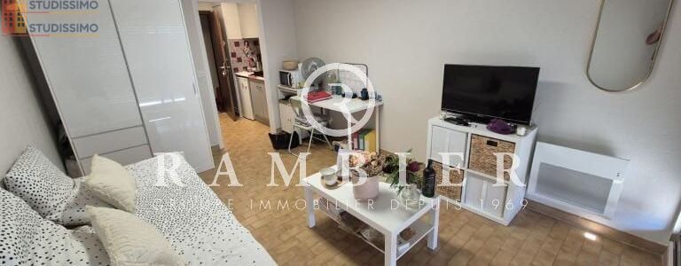 Studio 19m² Montpellier 34090 - Étage élevé, lumineux - Photo 6