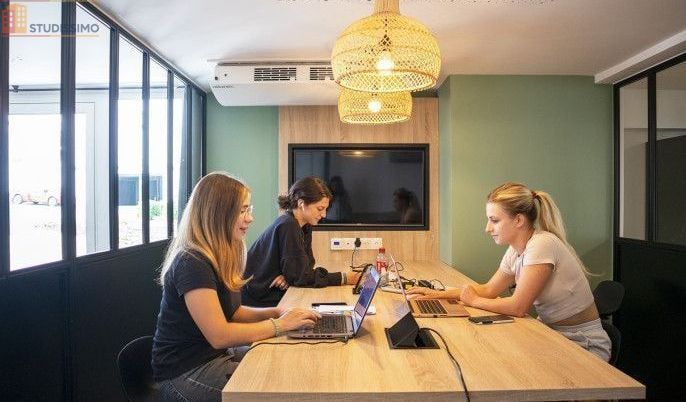 Studio meublé 23m² Villenave-d'Ornon - Meublé, DPE B - Photo 10