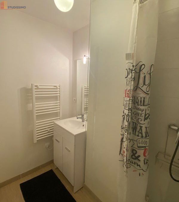 Studio meublé 25m² Bordeaux gare - Lumineux, proche transports - Photo 4