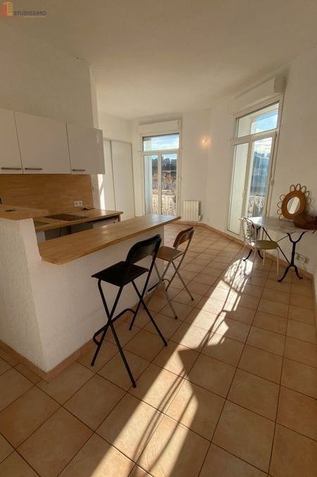 Studio 28m² Montpellier 34090 - Lumineux, proche Beaux-Arts - Photo 3