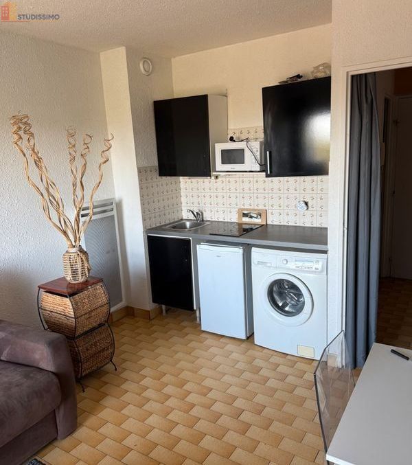 Studio meublé 24m² Mauguio - 4e étage, lumineux - Photo 4
