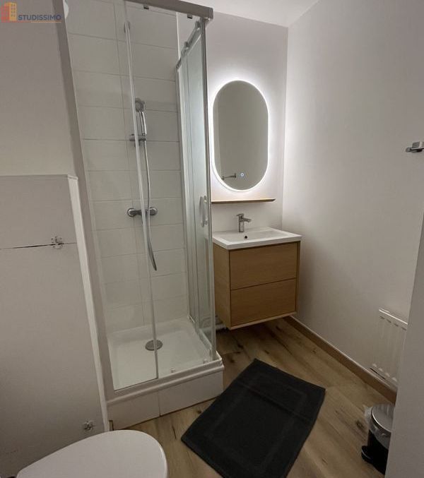 Studio meublé 17m² Rennes centre - Charmant, lumineux - Photo 2