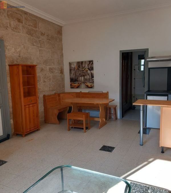 Studio 28m² Saint-André-de-Sangonis - Meublé, 1 pièce - Photo 3