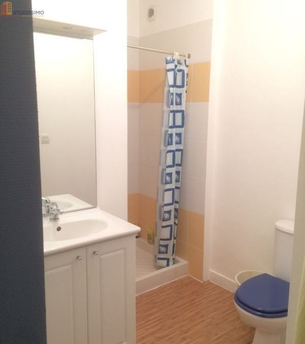Studio 28m² Val d'Anast (35330) - Meublé, DPE C - Photo 1