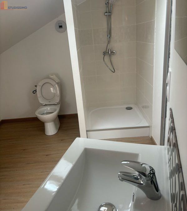 Studio 30m² Saint-Pons-de-Thomières - Dernier étage, lumineux - Photo 3