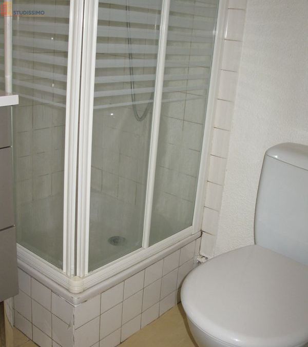 Studio 21m² Rennes 35700 - Lumineux, 2e étage - Photo 5