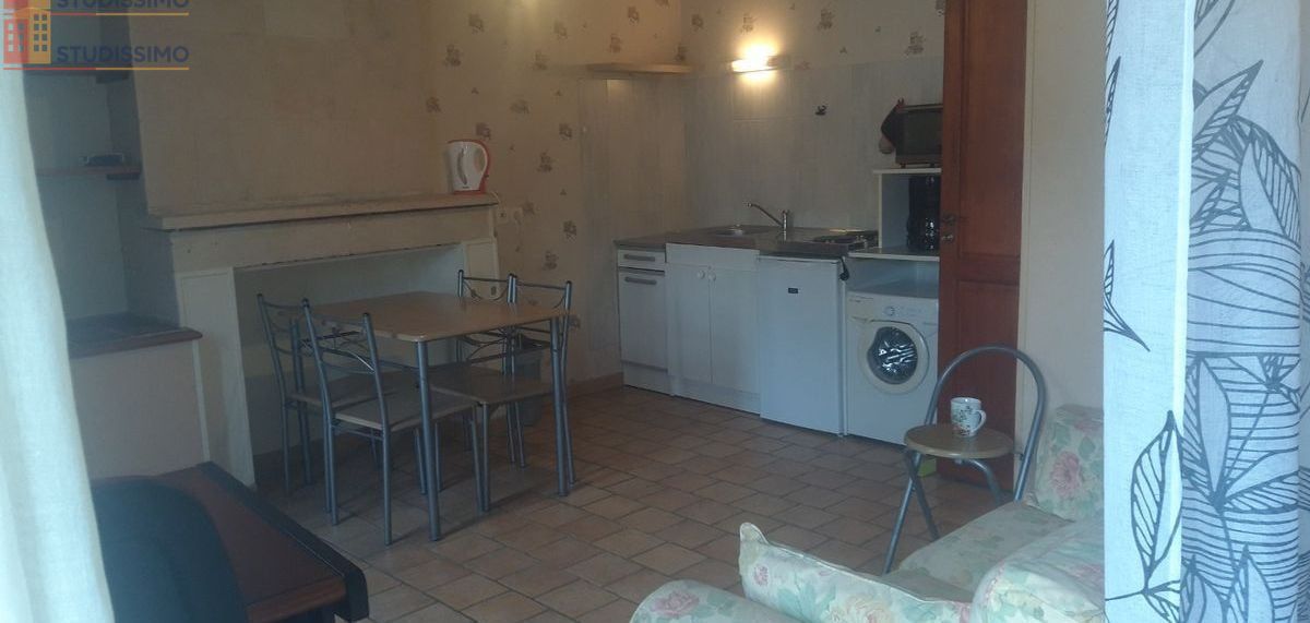 Studio meublé 30m² Azay-le-Ferron - Meublé - Photo 1