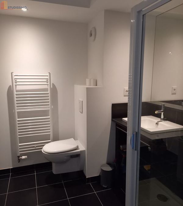 Studio meublé 22m² Rennes centre - Calme, lumineux - Photo 3