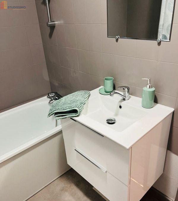 Studio meublé 30m² Châteauroux - Terrasse, meublé - Photo 1