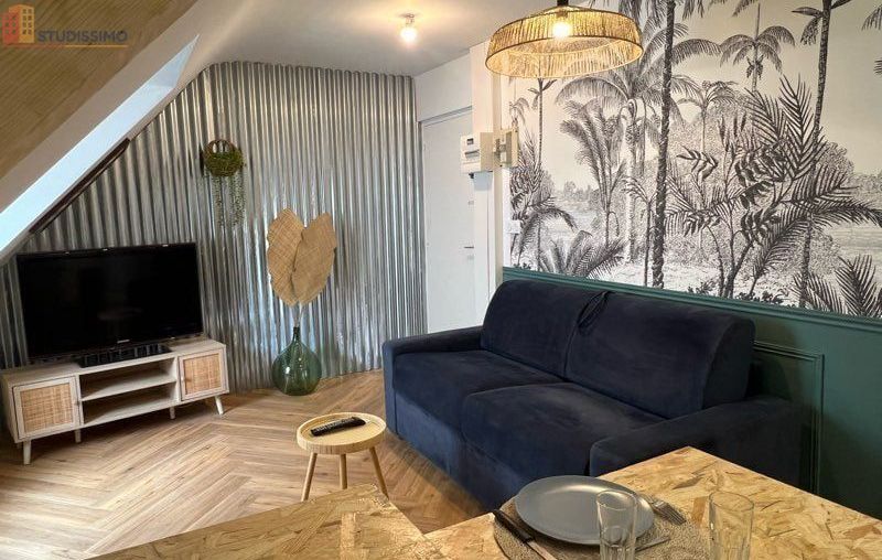Studio 20m² Rennes 35000 - Lumineux - Photo 5