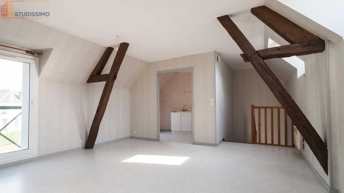Studio 50m² Villentrois-Faverolles-en-Berry - Aucun caractère mentionné - Photo 2