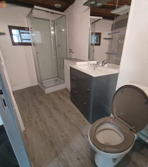 Studio meublé 49m² Issoudun - Lumineux, calme - Photo 2