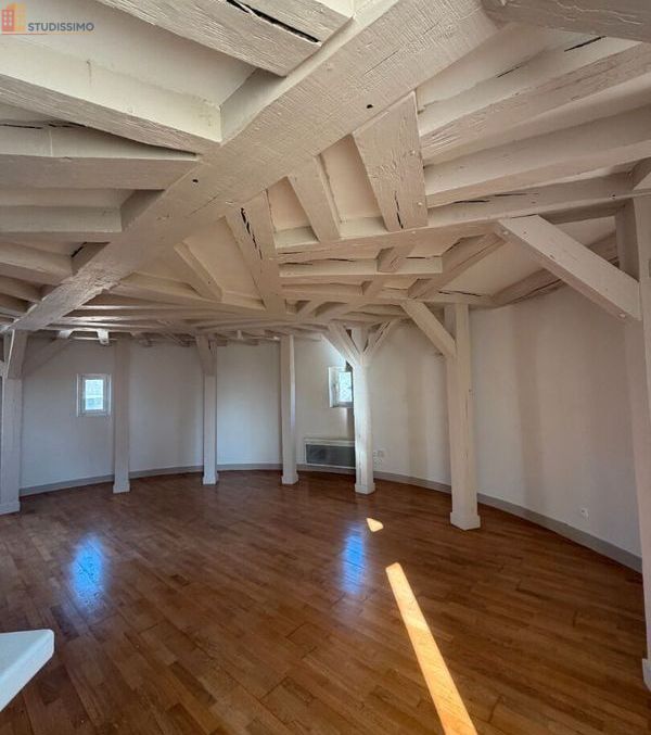 Studio 47m² Châteauroux - 2e étage, lumineux - Photo 3