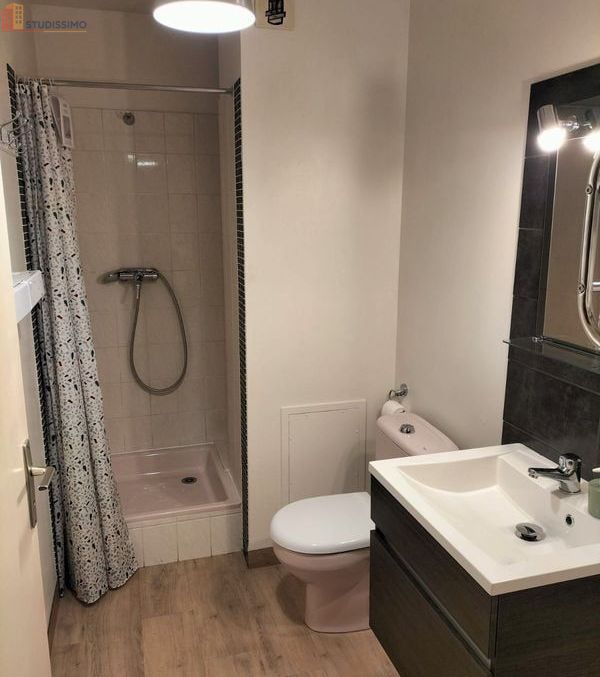 Studio 23m² Rennes centre - Meublé, lumineux - Photo 2