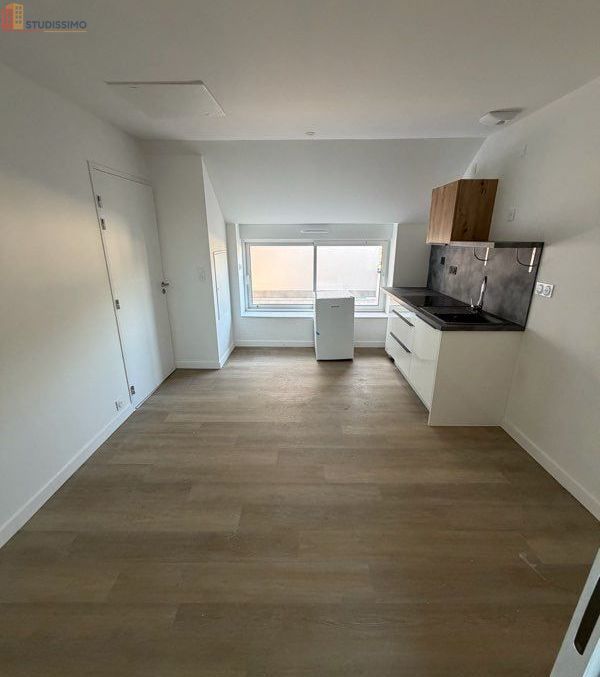 Studio 18m² Maen Roch 35460 - DPE C - Photo 4