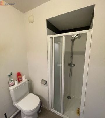 Studio meublé 25m² Rennes centre - Lumineux, meublé - Photo 8