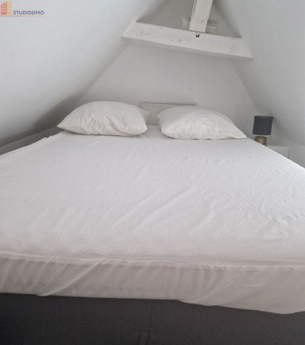 Studio meublé 22m² Vitré - Meublé, DPE C - Photo 14