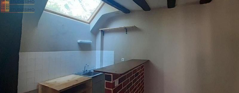 Studio 30m² Tours 37000 - Photo 7