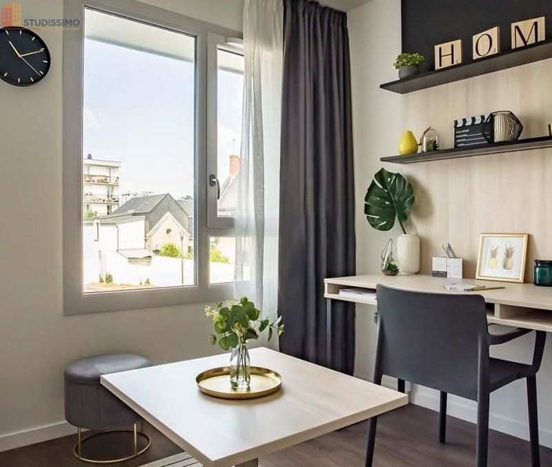 Studio meublé 18m² Tours 37200 - Meublé, DPE B - Photo 8