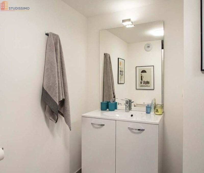 Studio meublé 18m² Tours 37200 - Meublé, DPE B - Photo 6