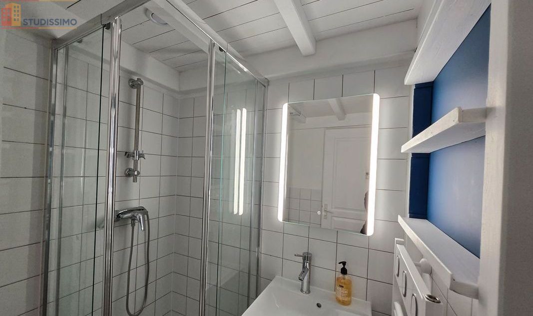 Studio meublé 22m² Rennes centre - Calme, lumineux - Photo 3