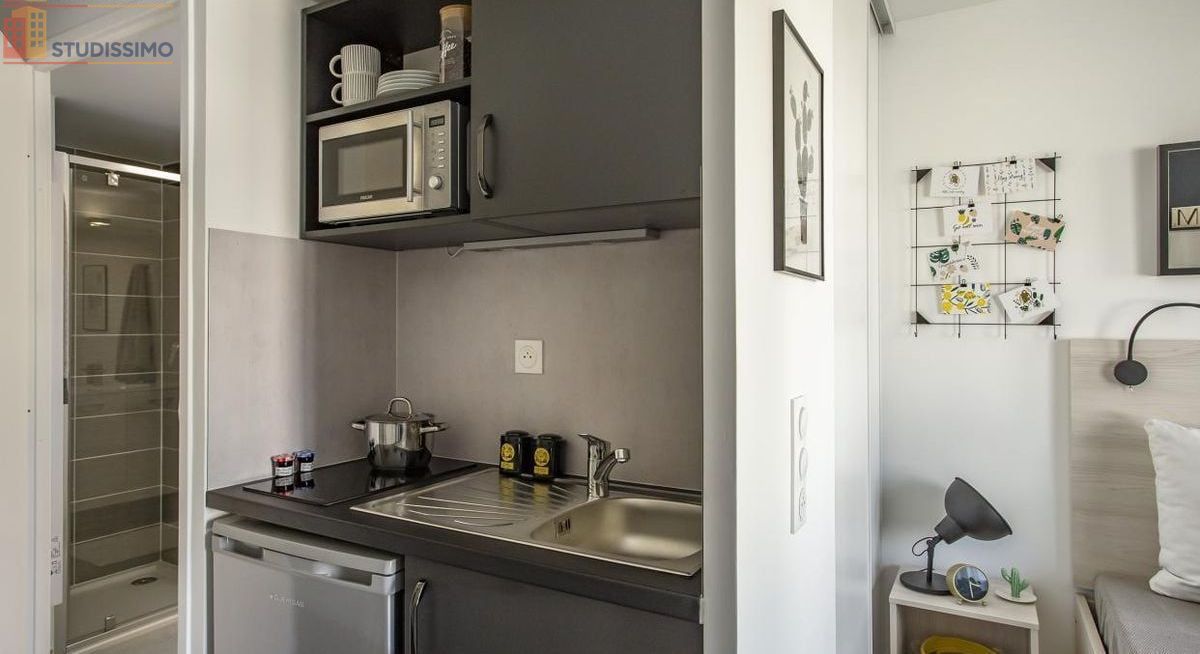 Studio meublé 19m² Tours 37000 - Meublé, DPE C - Photo 15