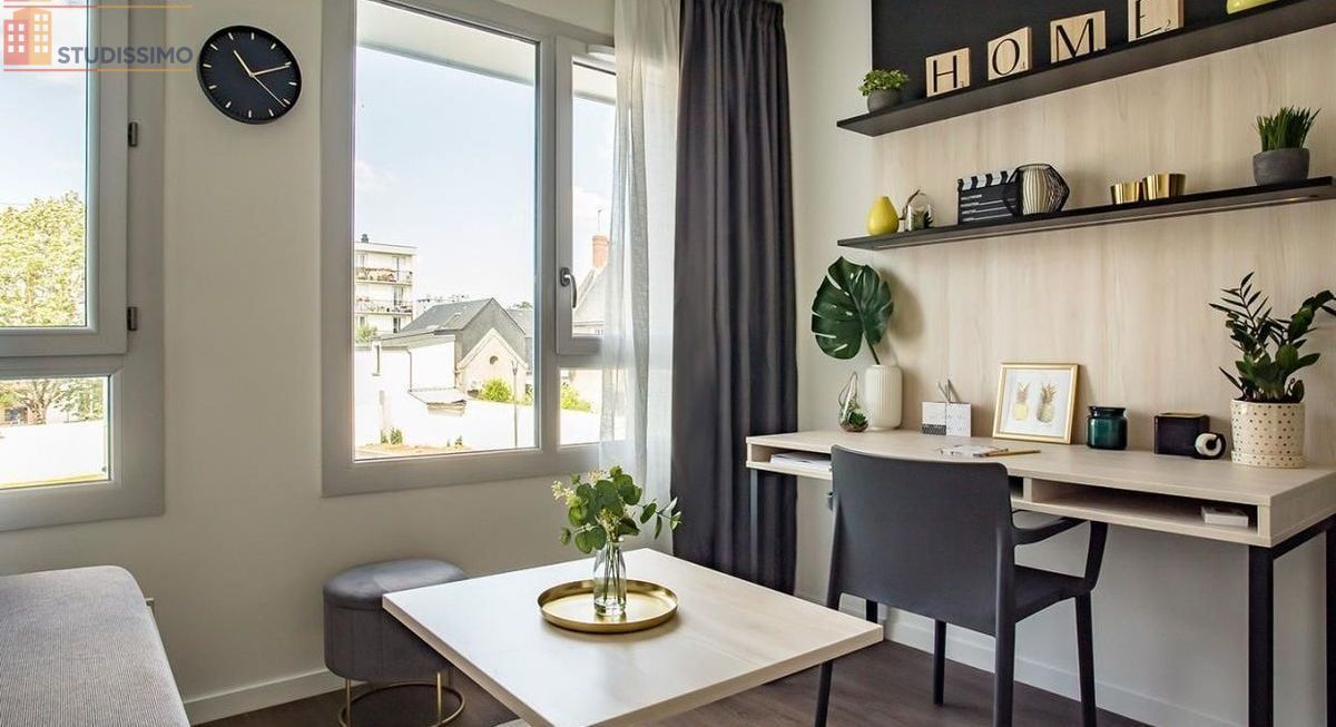 Studio meublé 19m² Tours 37000 - Meublé, DPE C - Photo 11