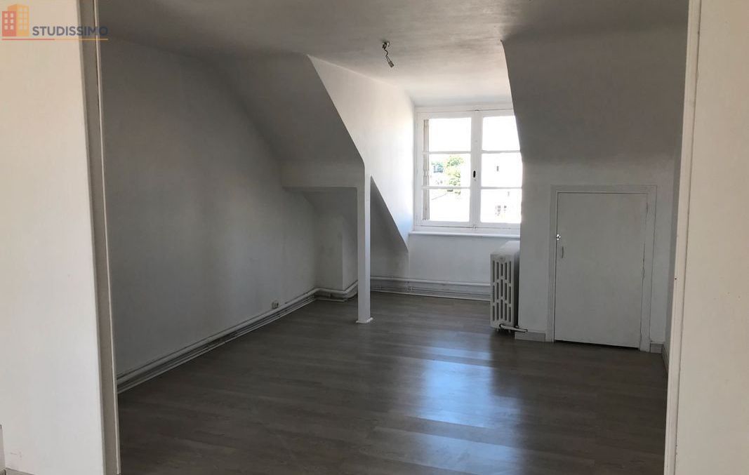 Studio 45m² Tours 37000 - Style loft, dernier étage - Photo 4
